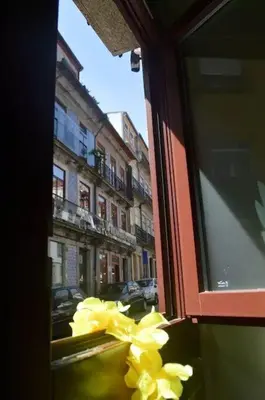 a window with a bunch of yellow flowers on a street at Open-Air Terrace Studio in Historic Heart of Porto in Porto