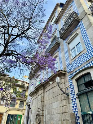 a building with purple flowers on the side of it at Douro Views by MyMoradia in Porto