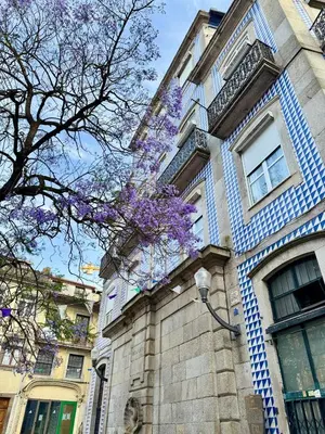 a bedroom with a large bed with blue walls at Water VibesI City Views in Porto by MyMoradia in Porto