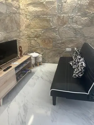 a living room with a couch and a tv at Candal house in Vila Nova de Gaia
