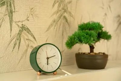 a clock sitting on a shelf next to a plant at Francos Relaxing Apartment by the metro in Porto
