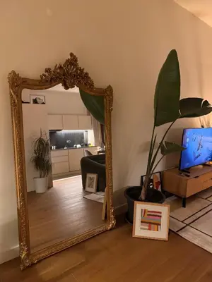 a mirror in a living room with a plant at Bonfim cozy apartment Porto in Porto