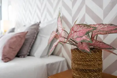 a vase with a plant on a table next to a couch at GuestReady - Urban paradise in Porto in Porto
