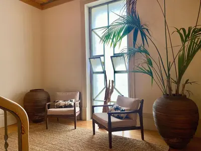 a living room with two chairs and a potted plant at Paraíso Garden Apartments in Porto