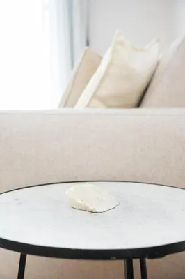 a shell sitting on a table in front of a couch at Historic Porto Flat, Central Porto in Porto