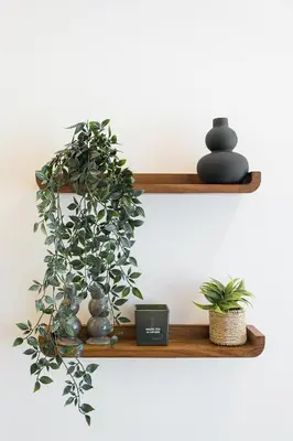 a wooden shelf with a plant and two plants at Historic Porto Flat, Central Porto in Porto