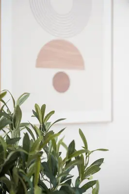 a plant in front of a ceiling with a light at Modern 1BR Apartment - Brand New Bonjardim I in Porto