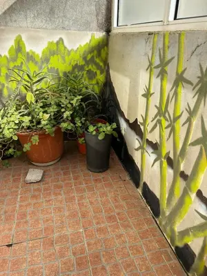a group of potted plants sitting next to a wall at Full 3-Room Apt Downtown Casa do Livro Boavista in Porto