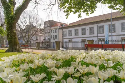 a field of white flowers in front of a building at Upper Story 1BR AC and Workspace in Porto