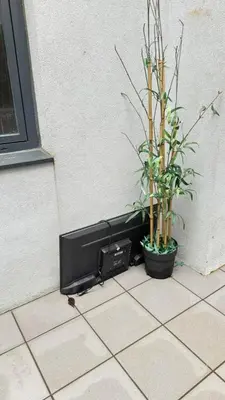 a tv sitting next to a wall with a plant at Classic Freitas in Porto