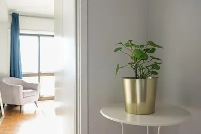 a potted plant sitting on a table in a room at GuestReady - Cosy Porto retreat in Porto