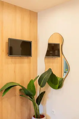 a mirror on a wall next to a plant at Douro Prestige Studio in Vila Nova de Gaia