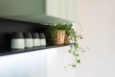 a shelf with a plant on top of a white cabinet at Victoria Project - Houses - Private Parking in Porto