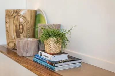 a stack of books and a potted plant on a shelf at Victoria Project - Houses - Private Parking in Porto