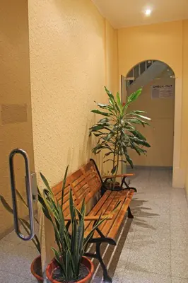 a wooden bench in a hallway with two plants at Residencia Vale Formoso in Porto