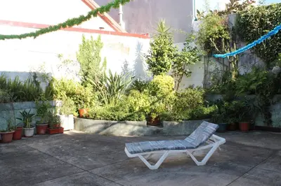 a chair sitting in the middle of a garden at Suite Porto in Porto