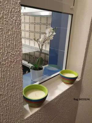 two bowls sitting on a window sill with a plant at Douro & Sea - River Side in Vila Nova de Gaia
