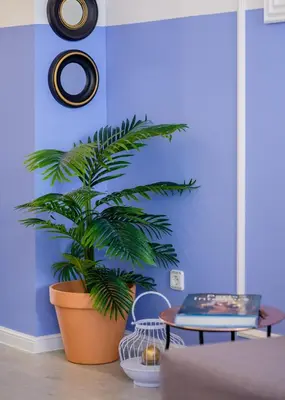 a large plant in a room with a blue wall at BOUTIQUE RENTALS - Provence Apartment in Porto