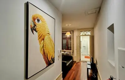 a painting of a yellow parrot hanging on a wall at Discovery | Porto-Flores in Porto