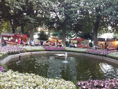 a fountain with a swan in a pond in a park at daPraça Apartments in Porto