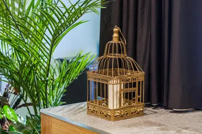 a gold bird cage sitting on top of a table at Abbey Apartments City Center Bolhão in Porto