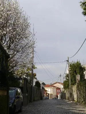 a cobblestone street with a car parked on the road at Apartamento Boavista in Vila Nova de Gaia