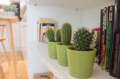 four green potted plants on a shelf next to books at Bright Downtown Apartment in Porto