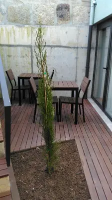 a picnic table and benches on a wooden deck at Boavista Class Inn in Porto