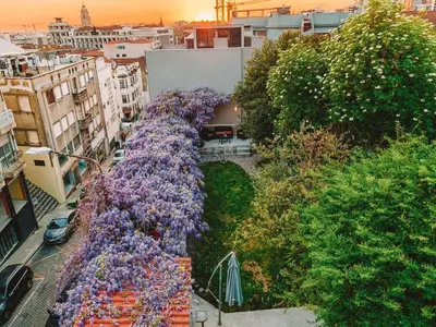 a group of purple flowers on the side of a building at Urban Garden Porto Central Hostel in Porto