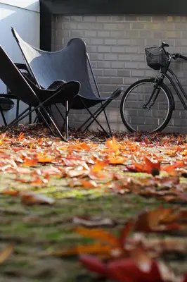 a chair and a bike sitting on a pile of leaves at Porto Music Guest House in Porto