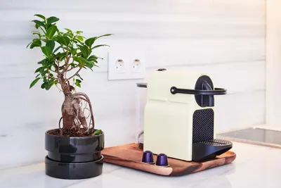 a sewing machine and a plant on a cutting board at Pause Apartments in Porto