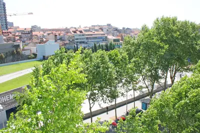a group of trees in front of a city at Trindade Oporto Apartments Group in Porto