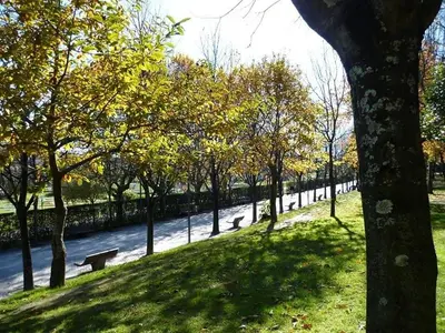 a park with trees and benches in the grass at Covelo Apartment in Porto