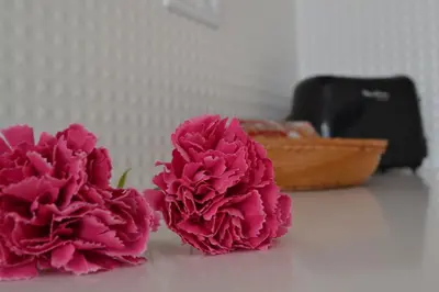 two pink flowers sitting on a table with a basket at RockInn Porto in Vila Nova de Gaia