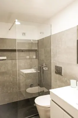 a bathroom with a shower and a toilet and a sink at Zelije Apartments Trindade in Porto