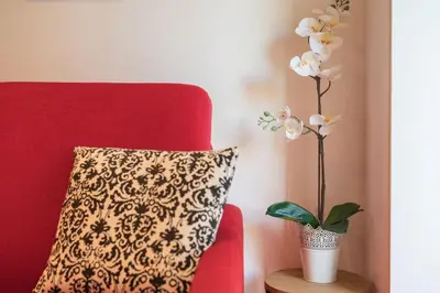 a red chair with a pillow and a potted plant at Modern loft w AC Downtown and Metro in Porto