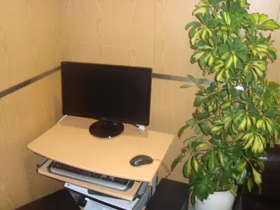 a computer monitor on a desk next to a potted plant at Santa Clara Porto in Porto
