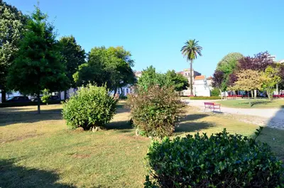 a park with trees and a bench and a palm tree at Porto Smart Apartments - Downtown in Porto