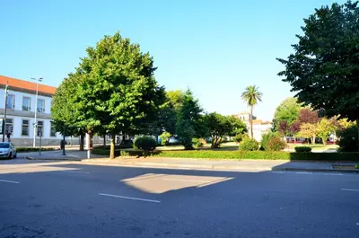 an empty street in front of a building with trees at Porto Smart Apartments - Downtown in Porto