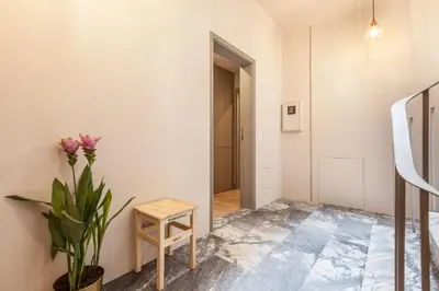 a hallway with a potted plant and a chair at Sendme2Portugal: Santa Catarina in Porto