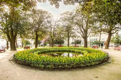 a circular garden with yellow flowers in a park at Camarao Apartment in Porto