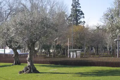a tree in the grass in front of a fence at Oporto Center Clean & Cozy Apt 3 in Porto