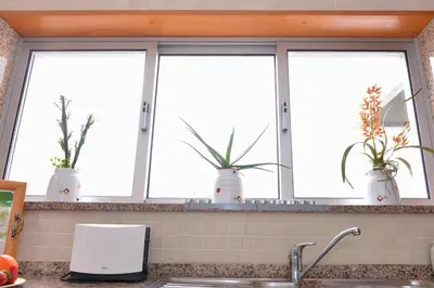 a kitchen counter with three windows with potted plants at Apartamento Porto Centro in Porto