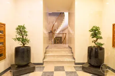 a hallway with two potted trees and a staircase at Oporto Ceuta Residences - Residence 2 by We Do Living in Porto