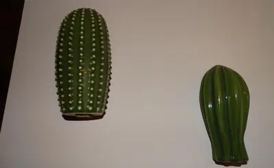 a green cactus and a green vase on a wall at Rose Green Loft in Porto