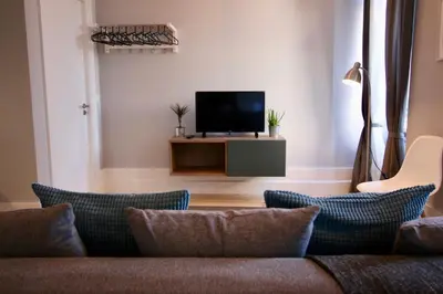 a living room with a couch and a tv at D&S - Lapa 32 in Porto