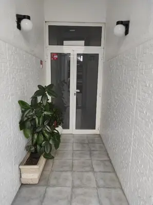 a hallway with a door and a potted plant at Lira Guest House B&B in Porto
