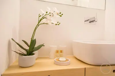 a bathroom with a sink and a plant on a counter at Oporto Ceuta Residences - Residence 1 by We Do Living in Porto