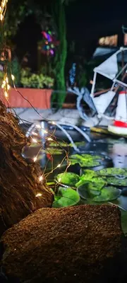 a group of lights on a body of water at Ruby Charm Houses in Porto