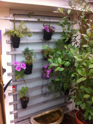 a bunch of potted plants on a wall at Apartment Garden Music in Porto